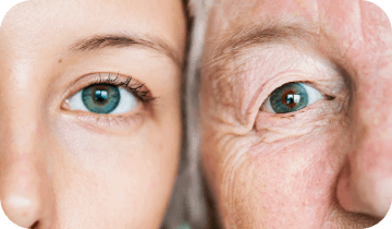 VisiFlora-differene-3