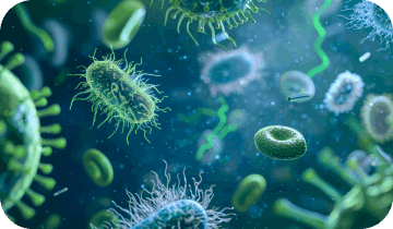 VisiFlora-differene-img